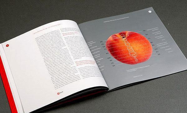 专业供应 设计 画册 印刷厂 产品目录 说明书 设计一条龙 2012